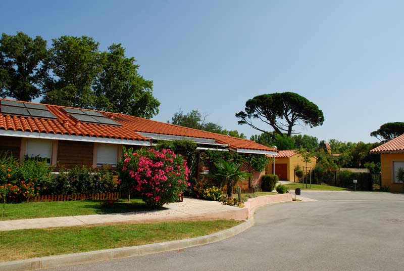 Rencontre seniors plus de 70 ans